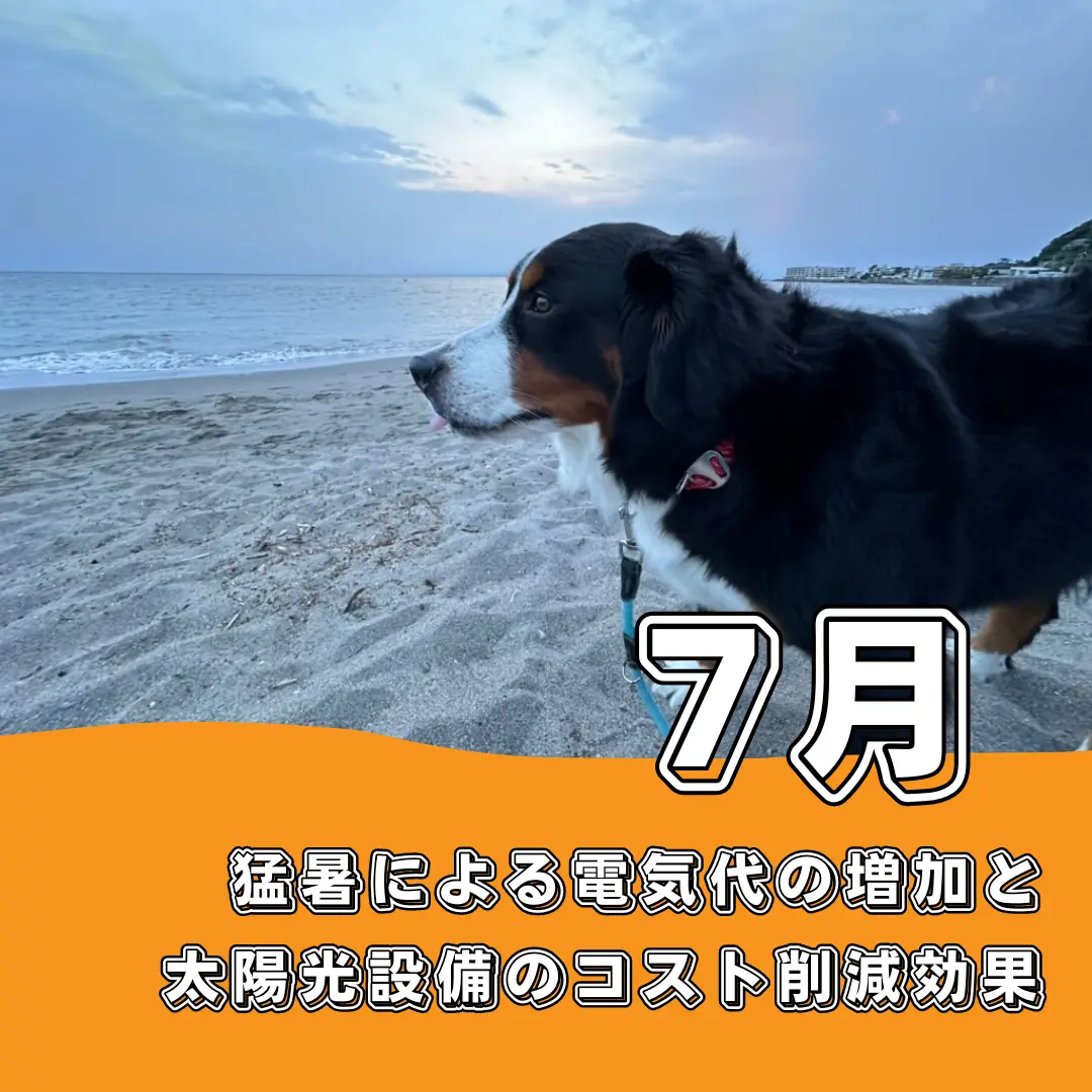 猛暑による電気代の増加と太陽光設備のコスト削減効果：2024年7月の分析