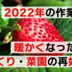 【2022年の作業計画】暖かくなったので、庭づくり・家庭菜園を再始動！